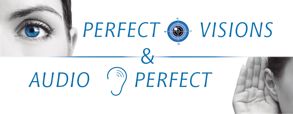 Logo-Perfect-Visions-400