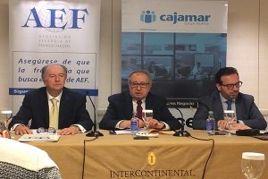 AEF-informe2018-1-600